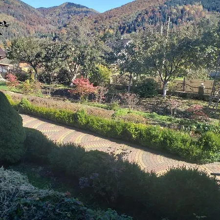 Lodge Medova Nasoloda