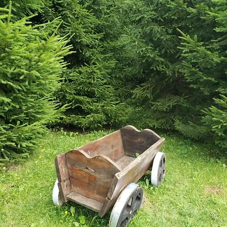 ロッジ Medova Nasoloda