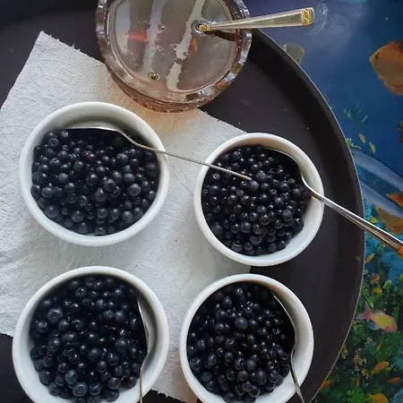 Medova Nasoloda Lodge *