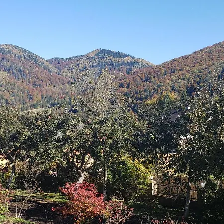 Medova Nasoloda Lodge