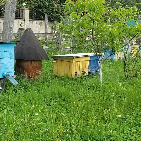 Medova Nasoloda * Guta