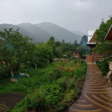 Medova Nasoloda * Guta