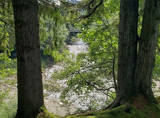Lodge Medova Nasoloda *